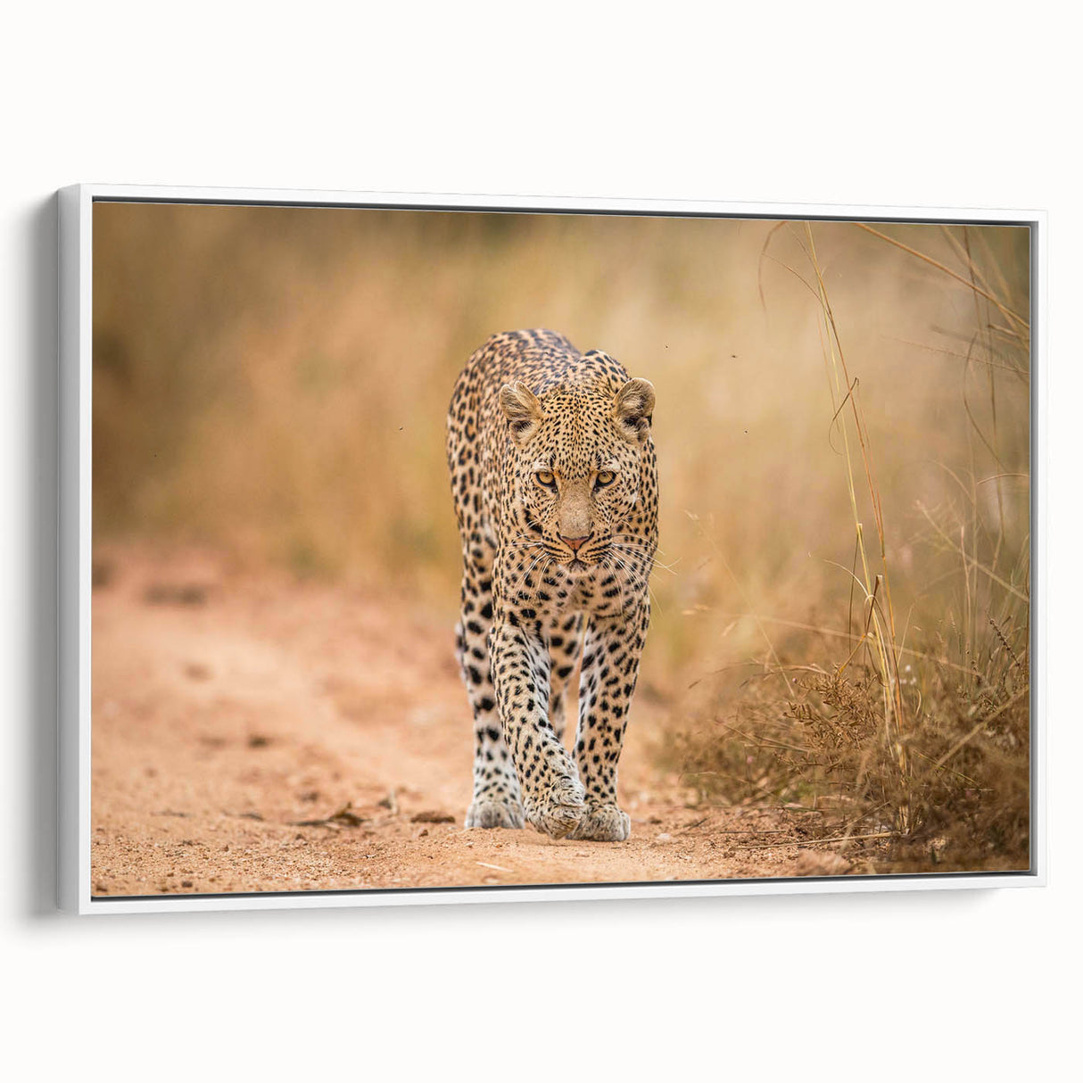 Framed wall art showcasing a striking leopard design on a textured canvas, set against a white background, perfect for wildlife enthusiasts and home decor.