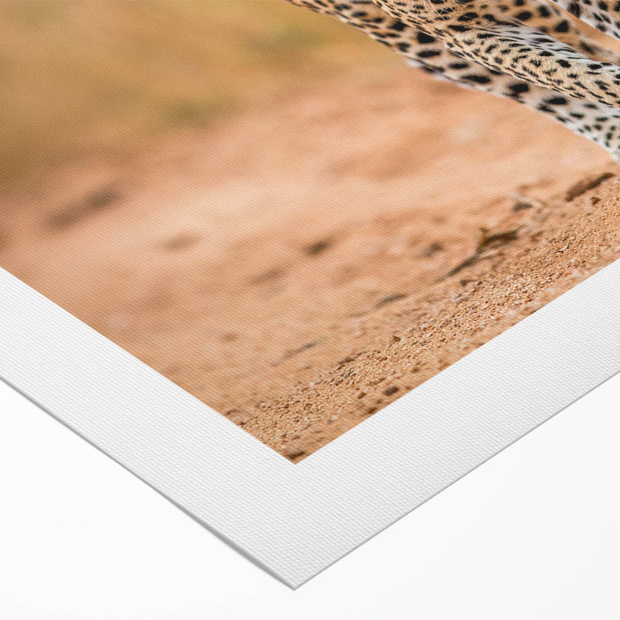 Vibrant rolled canvas wall art showcasing a striking leopard design, featuring bold colors and intricate details, perfect for wildlife enthusiasts and home decor.