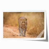 Leopard wall art design showcasing a striking portrait of a wild leopard set against a vibrant natural background, perfect for home decor enthusiasts. This rolled print adds a touch of elegance and wildlife charm to any space, ideal for animal lovers and interior design.