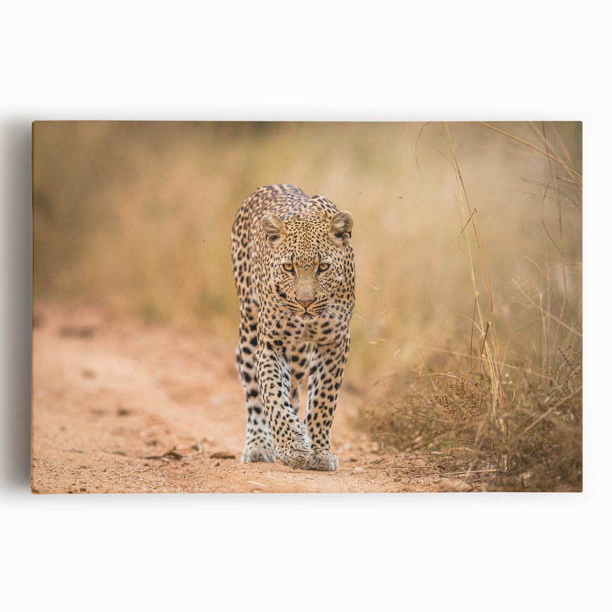 Stretched canvas wall art featuring a striking leopard design, showcasing vibrant colors and intricate details, perfect for wildlife enthusiasts and home decor.