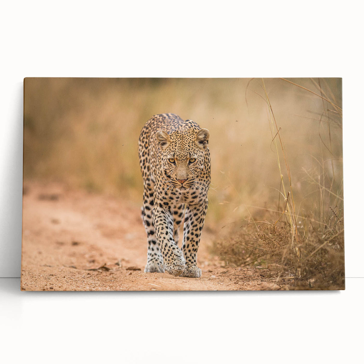 Leopard-themed wall art on stretched canvas, showcasing vibrant colors and intricate patterns, perfect for animal lovers and home decor enthusiasts.