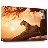 Leopard wall art design in acrylic glass, showcasing a vibrant side view of a leopard's face with intricate details and a modern aesthetic, perfect for wildlife enthusiasts.