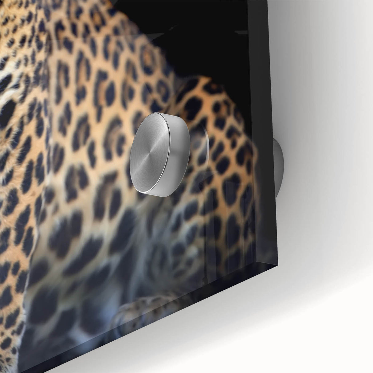 Close-up of a stunning leopard wall art design featuring intricate details on acrylic glass, ideal for animal lovers and modern decor enthusiasts. This vibrant piece showcases the wild beauty of nature, perfect for enhancing any living space.