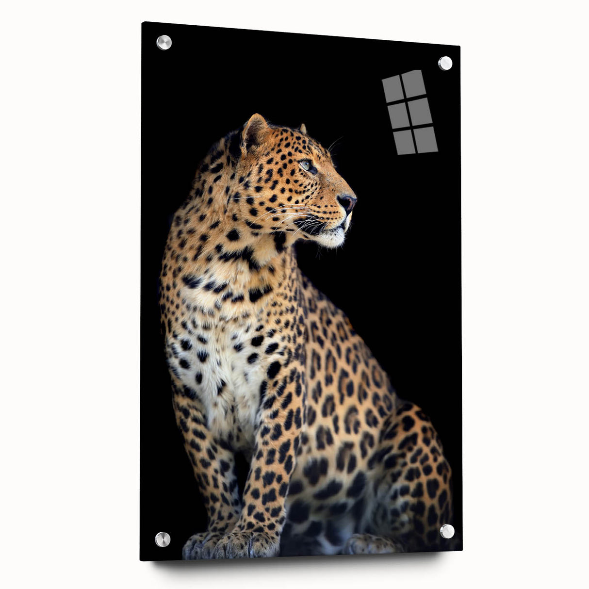 Side view of a leopard-themed wall art design, showcasing vibrant colors and intricate details printed on acrylic glass, elegantly mounted with pins for display. This artwork captures the essence of wildlife, making it a striking addition to any décor.