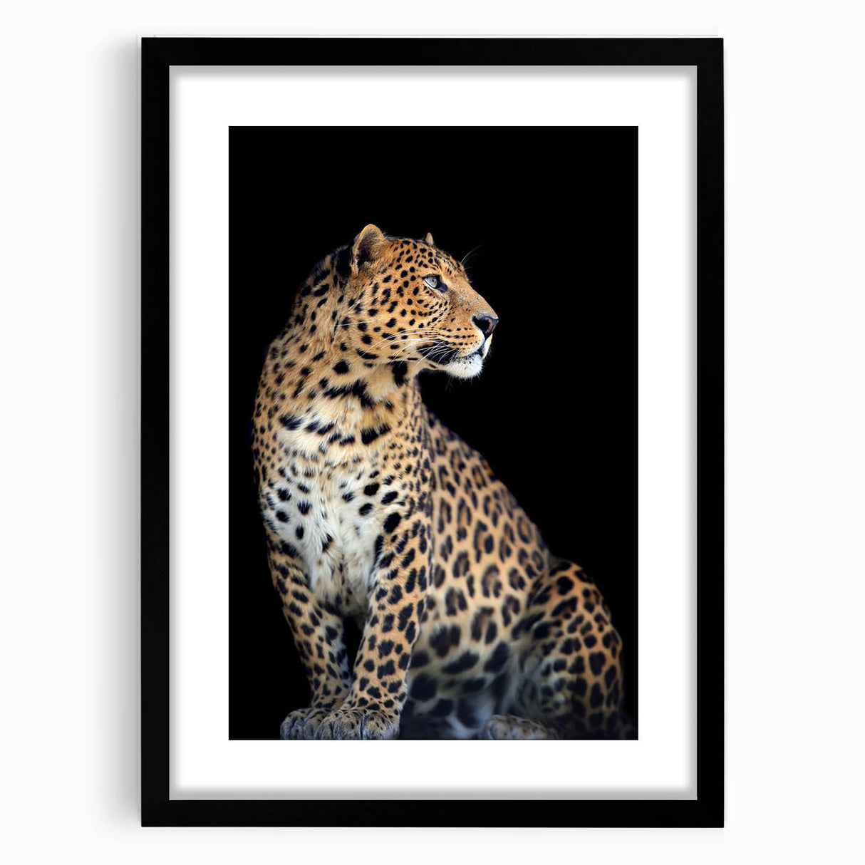 Framed wall art featuring a striking leopard design, showcasing detailed animal imagery with a black frame and white mat, perfect for wildlife enthusiasts and home decor.