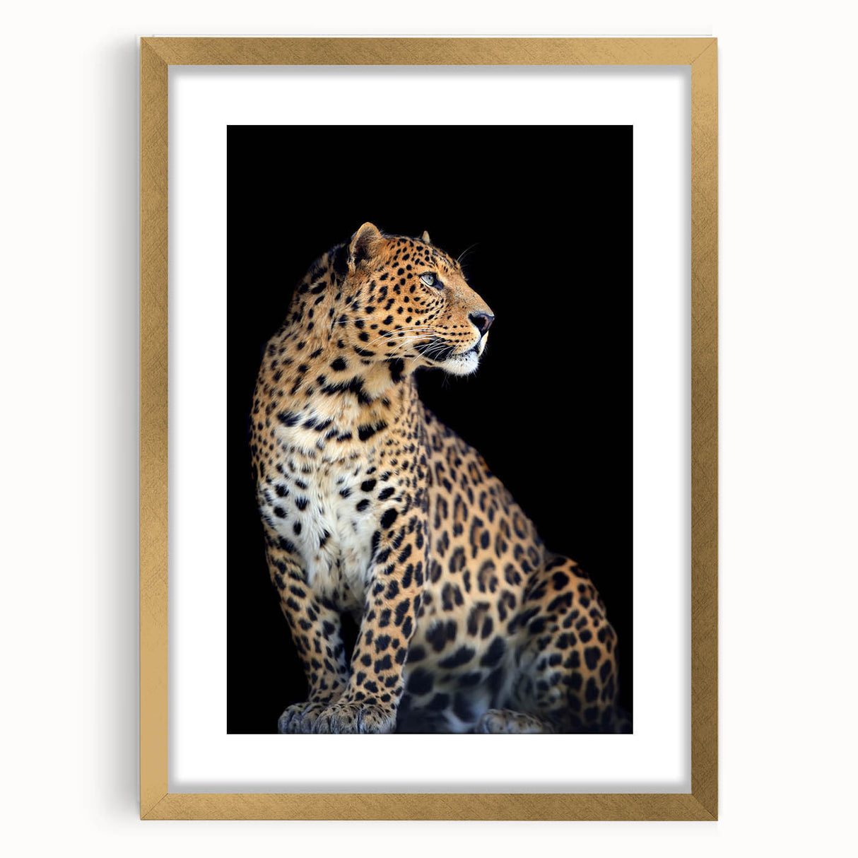 Framed wall art showcasing a stunning leopard design in a gold frame, perfect for adding a touch of elegance to wildlife-themed decor. The artwork highlights intricate details and vibrant colors, making it a captivating centerpiece for any room.