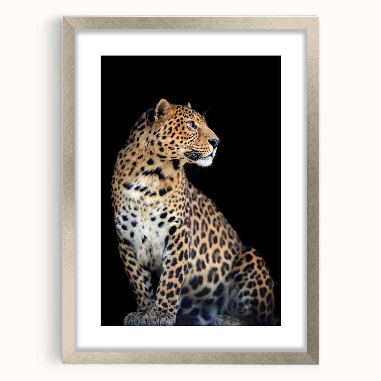 Showcasing a stunning leopard wall art design in a sleek silver frame with a mat, this artwork brings a touch of the wild to contemporary decor. Perfect for animal lovers.