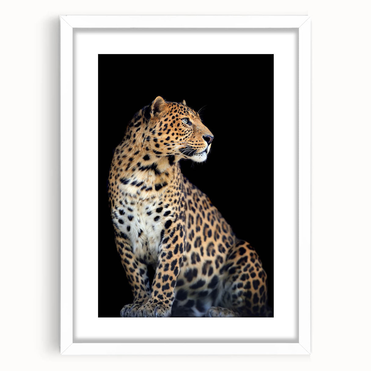Framed wall art showcasing a stunning leopard design, set against a white mat, perfect for animal lovers and modern decor enthusiasts. Ideal for adding a touch of wildlife elegance to any room.