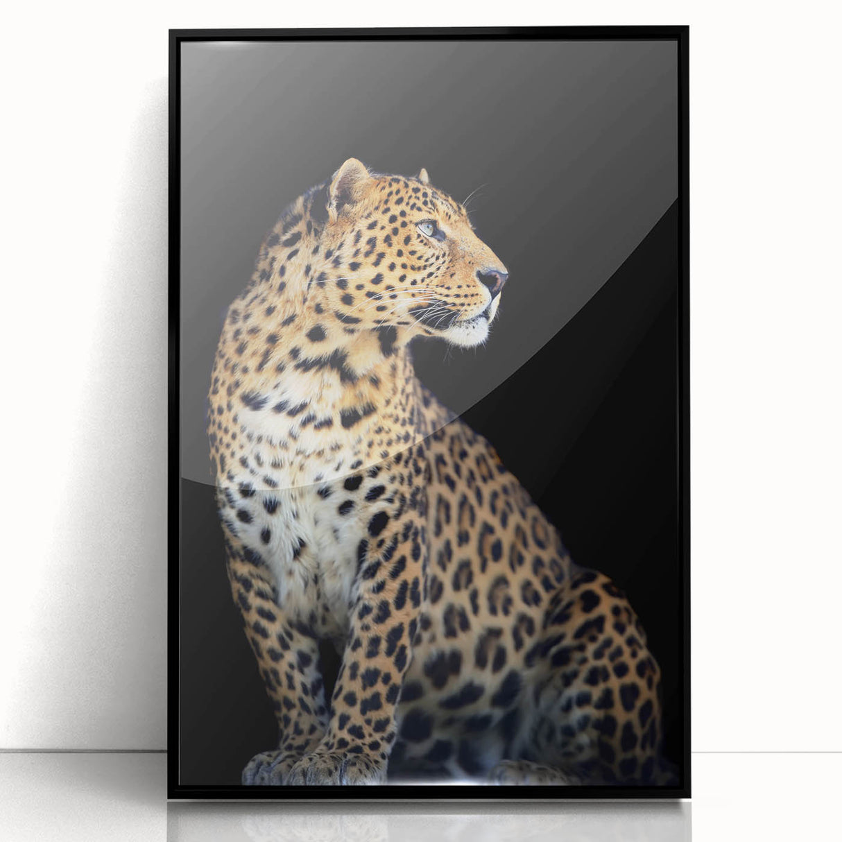 Framed acrylic wall art featuring a striking leopard design, showcasing vivid colors and intricate details, perfect for adding a wild touch to home decor.