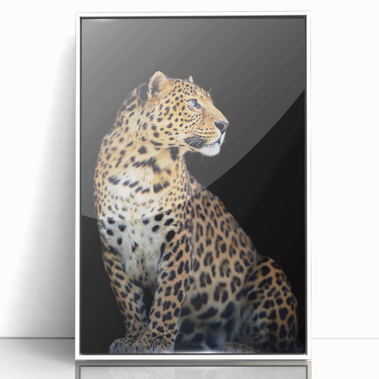 Framed wall art featuring a striking leopard design from the 'A Wild Life' collection, showcasing vibrant colors and intricate details against a sleek white frame, ideal for animal lovers and modern decor enthusiasts.