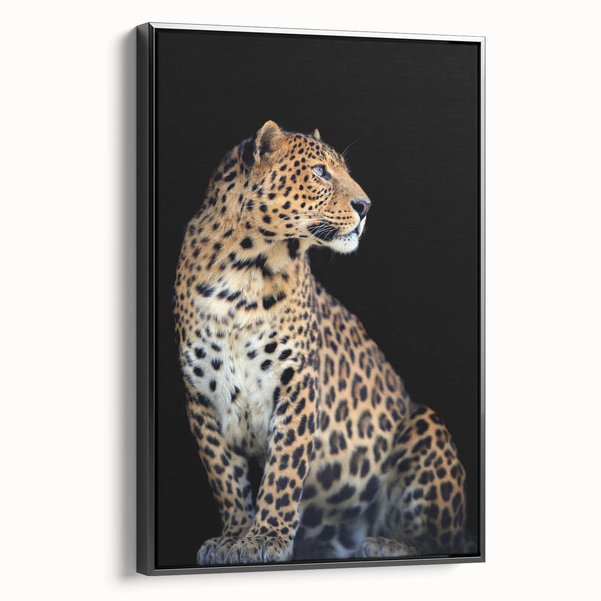 Framed canvas wall art featuring a striking leopard design in a black setting, showcasing the wild beauty of nature. Ideal for animal lovers and modern decor.