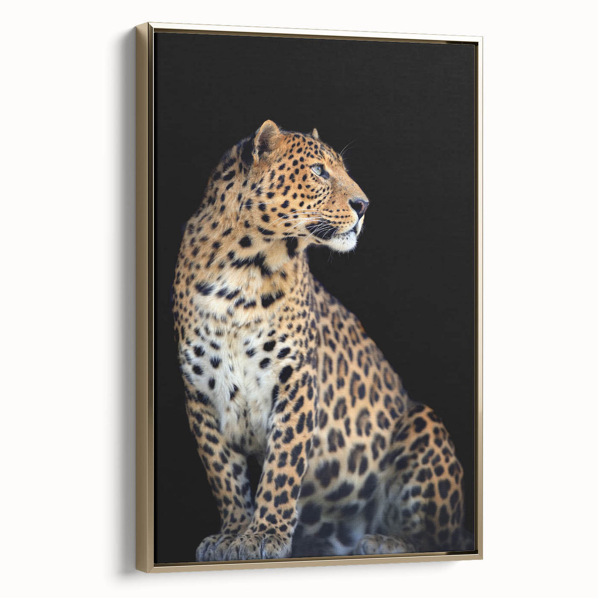 Framed canvas wall art showcasing a striking leopard design in rich gold tones, capturing the essence of wildlife elegance and perfect for home decor.