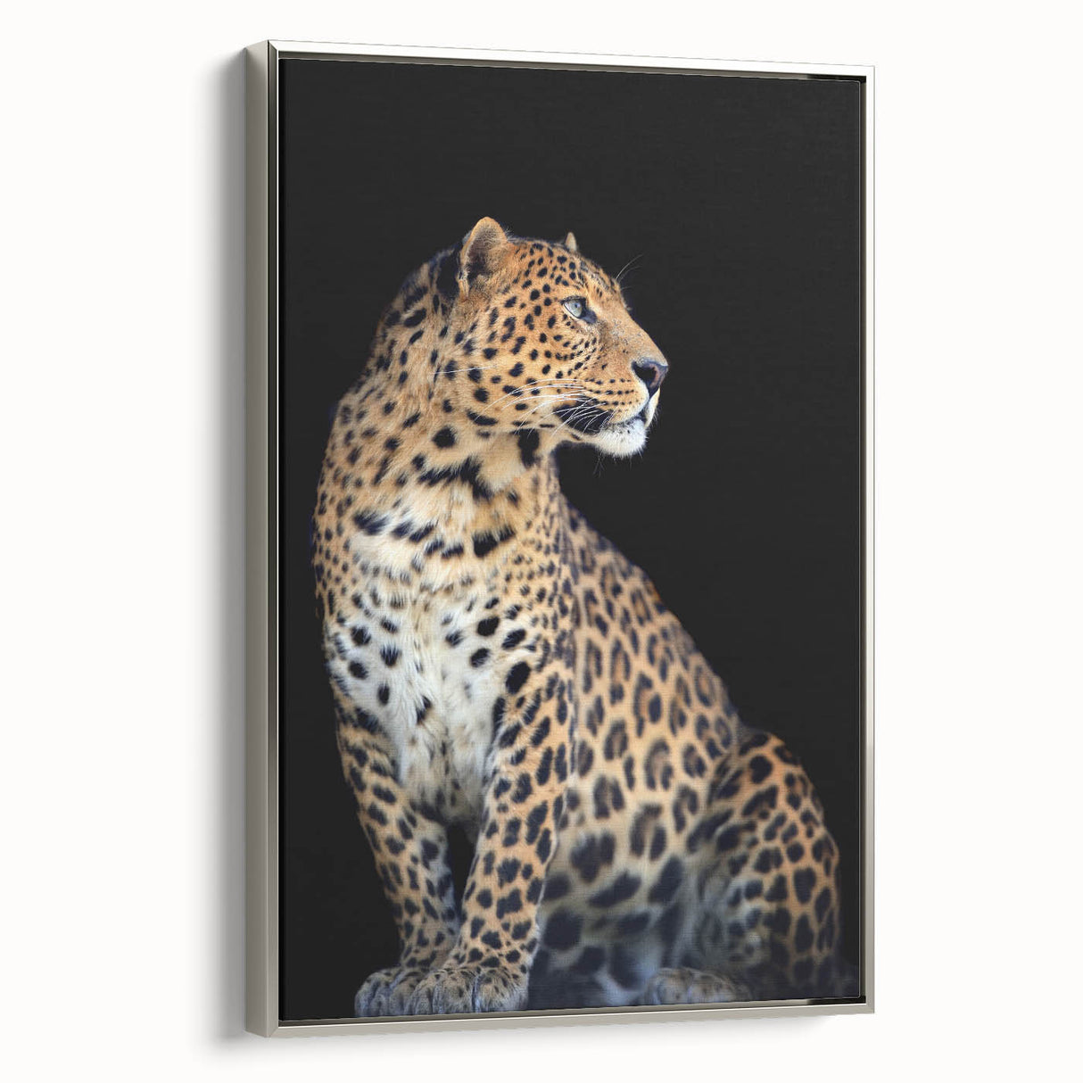 Framed canvas wall art showcasing a striking leopard design in vibrant colors, ideal for wildlife enthusiasts. Perfect addition to modern home decor.