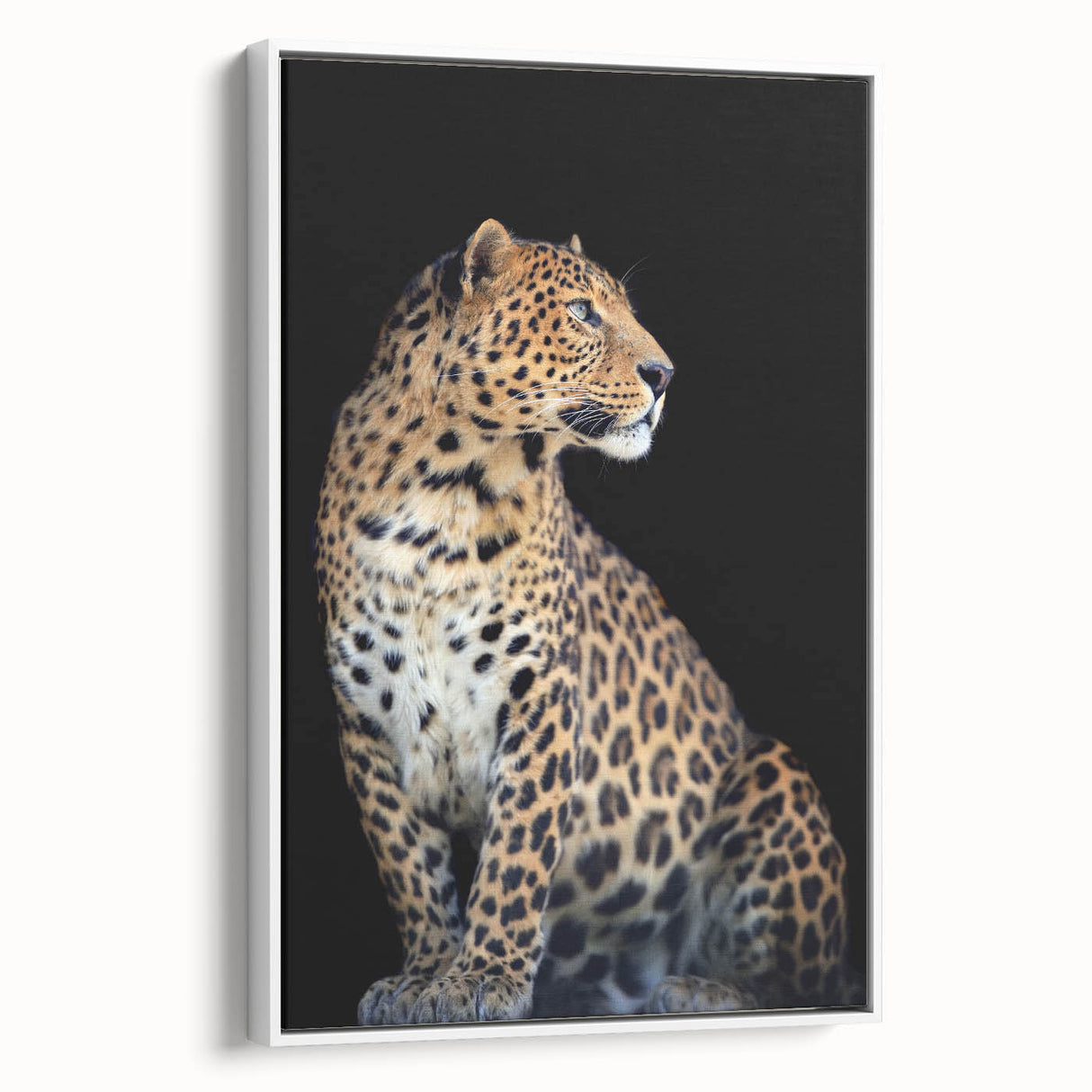 Framed canvas wall art showcasing a striking leopard design in a modern white frame, perfect for animal lovers and wildlife decor enthusiasts. Ideal for vibrant home or office spaces.