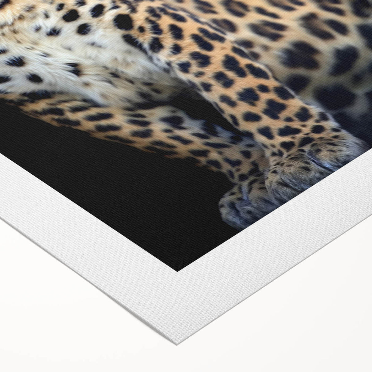 Vibrant rolled canvas wall art showcasing a striking leopard design, perfect for wildlife enthusiasts, featuring rich colors and intricate details, packaged securely for delivery.