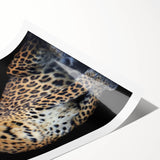 Leopard-themed wall art print showcasing a vibrant illustration of a leopard in its natural habitat, rolled and ready for display in home decor. Perfect for wildlife enthusiasts and art collectors.