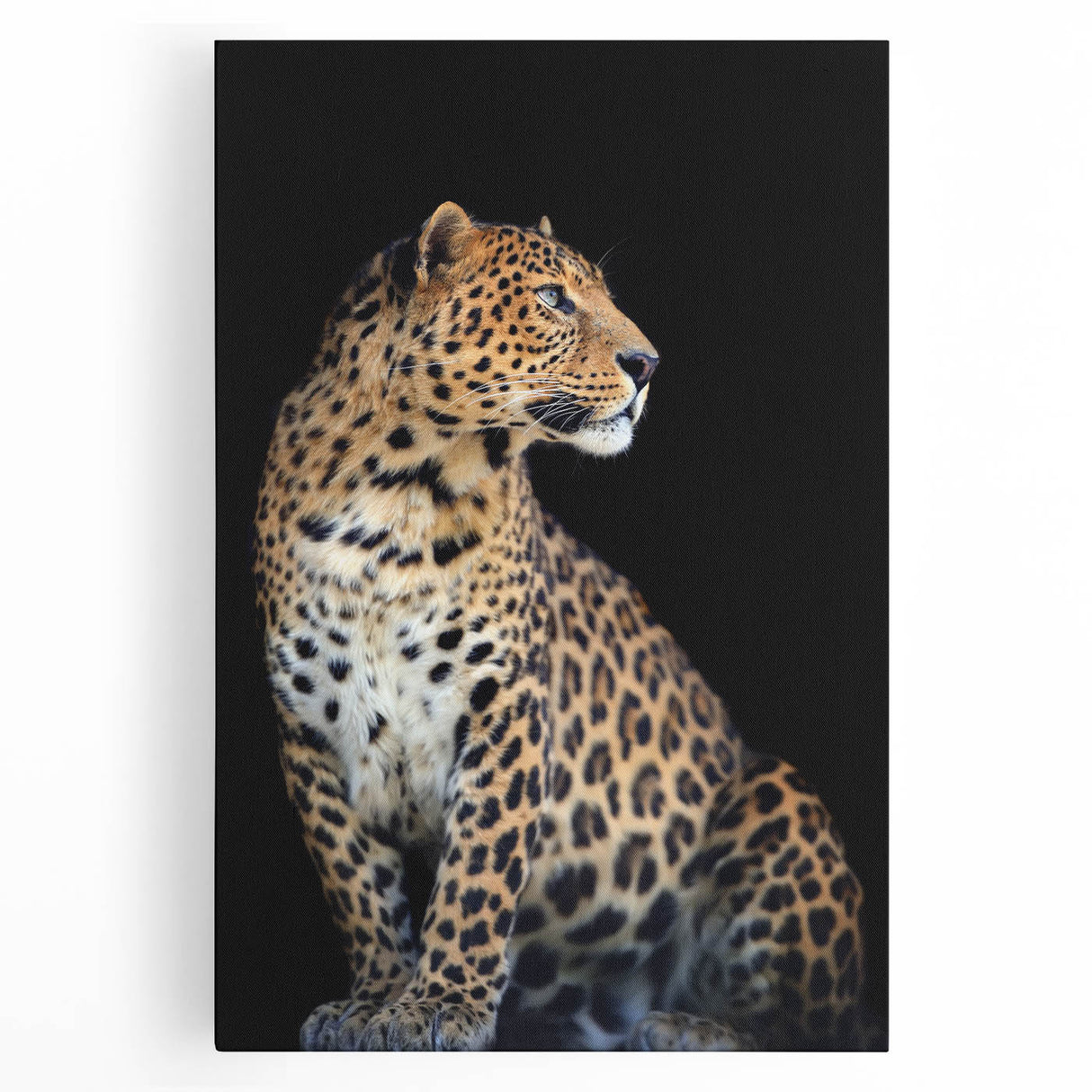Stretched canvas wall art featuring a striking leopard design, showcasing vibrant colors and intricate details, perfect for adding a touch of wildlife elegance to any room.