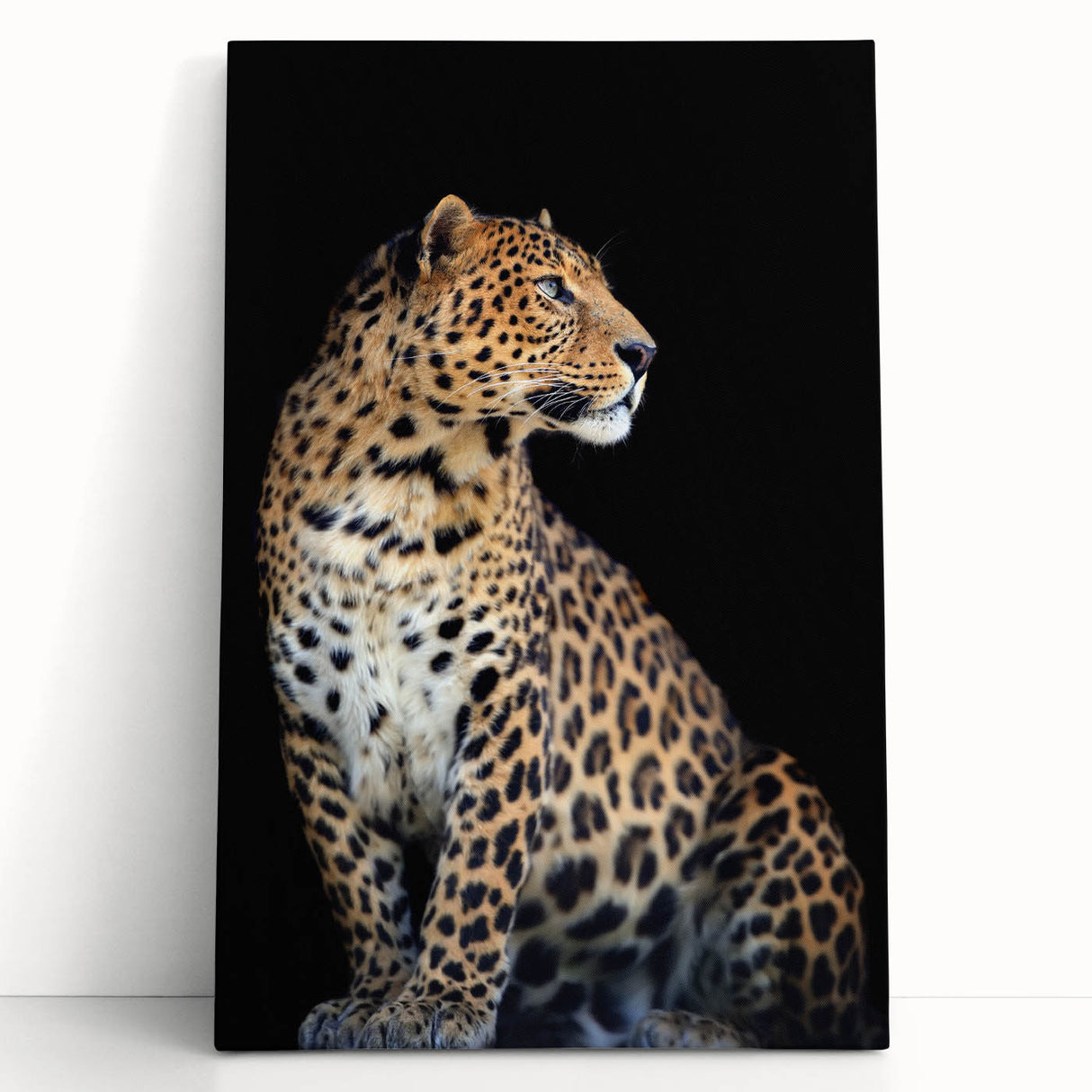 Stretched canvas wall art featuring a striking leopard design, showcasing vivid colors and intricate details, perfect for enhancing modern home decor with a wildlife theme.
