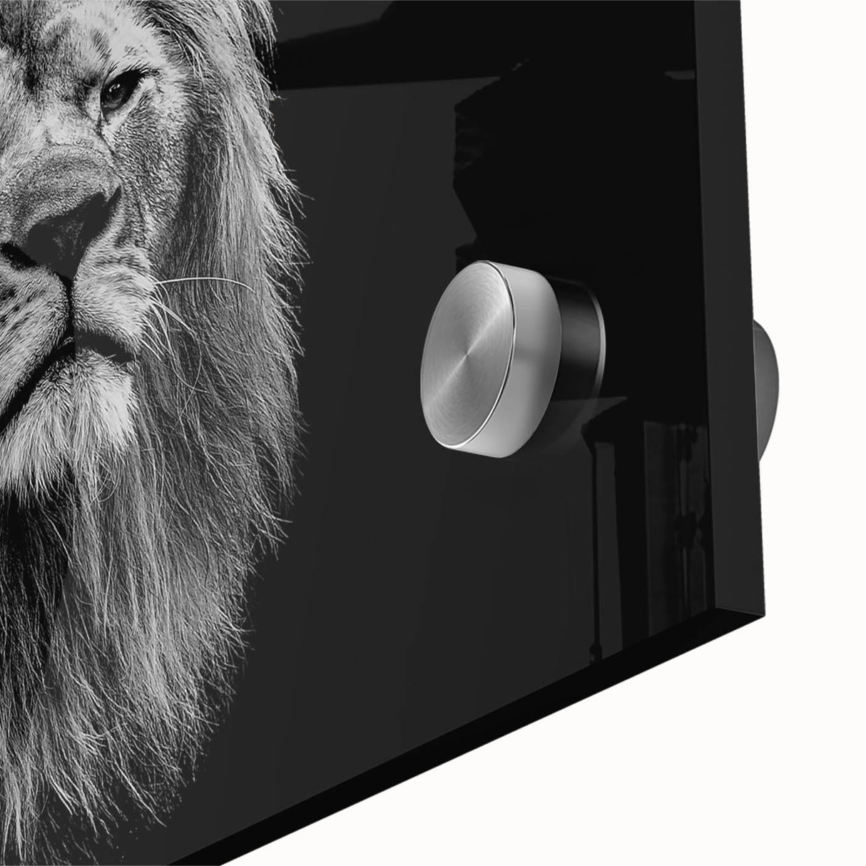Close-up of a striking lion wall art design on acrylic glass, showcasing vibrant colors and intricate details, ideal for wildlife enthusiasts and home decor.