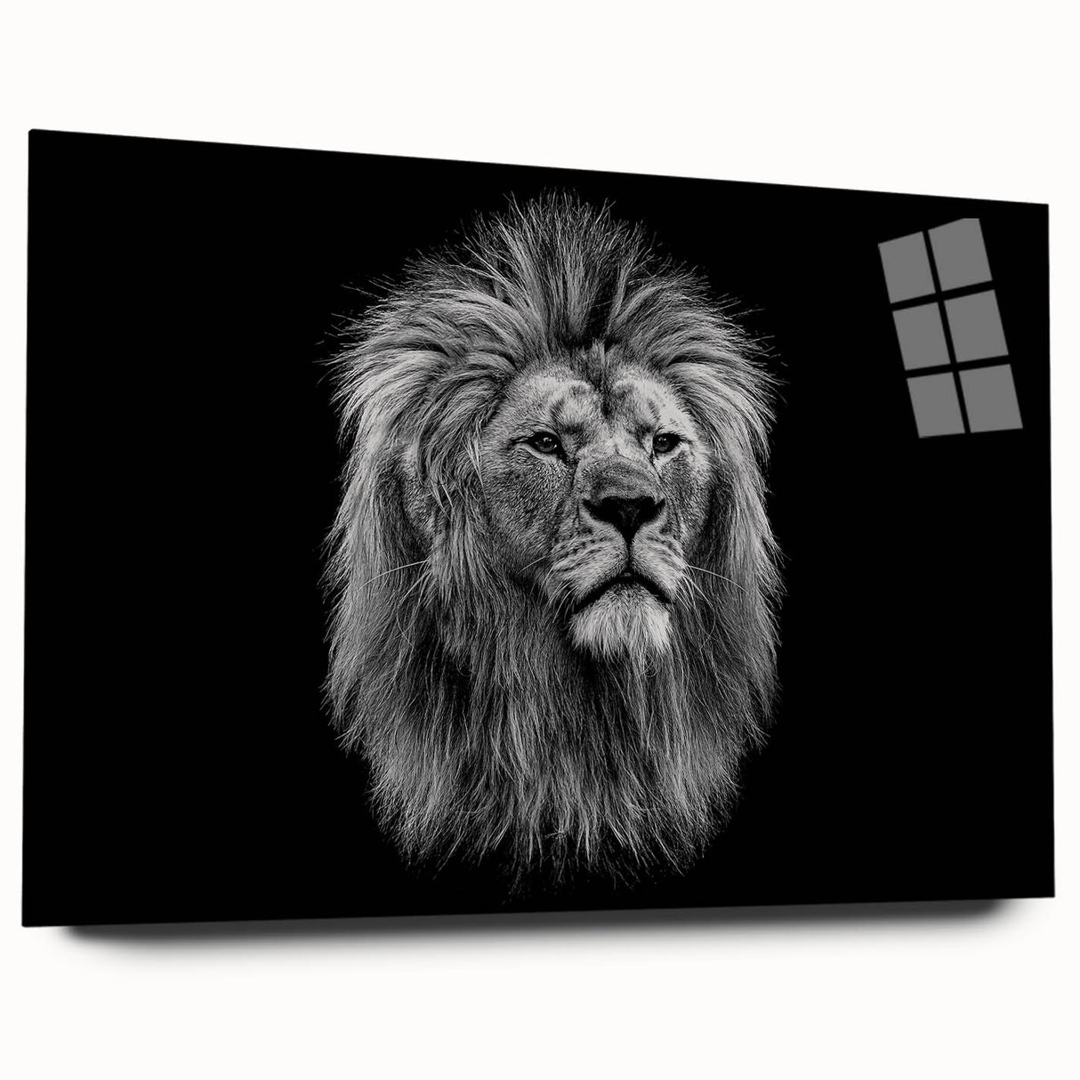 Acrylic glass wall art showcasing a detailed side view of a majestic lion, part of a wildlife collection, featuring rich colors and intricate designs, ideal for animal lovers and modern decor.