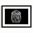Black-framed wall art showcasing a striking lion design, part of a wildlife collection, with a matte finish, ideal for enhancing home decor.
