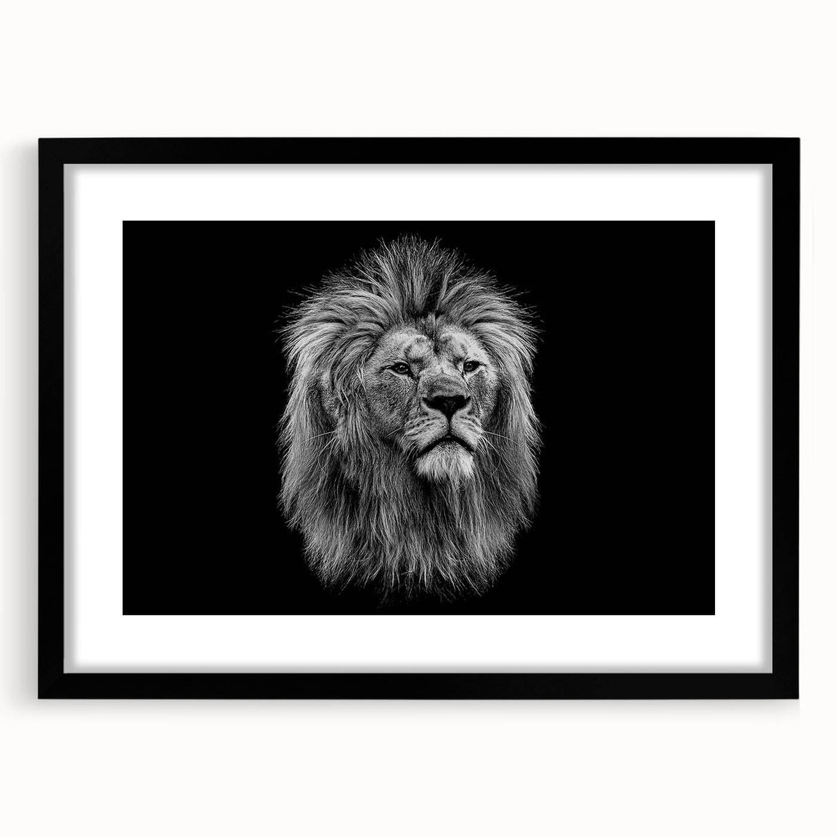 Black-framed wall art showcasing a striking lion design, part of a wildlife collection, with a matte finish, ideal for enhancing home decor.