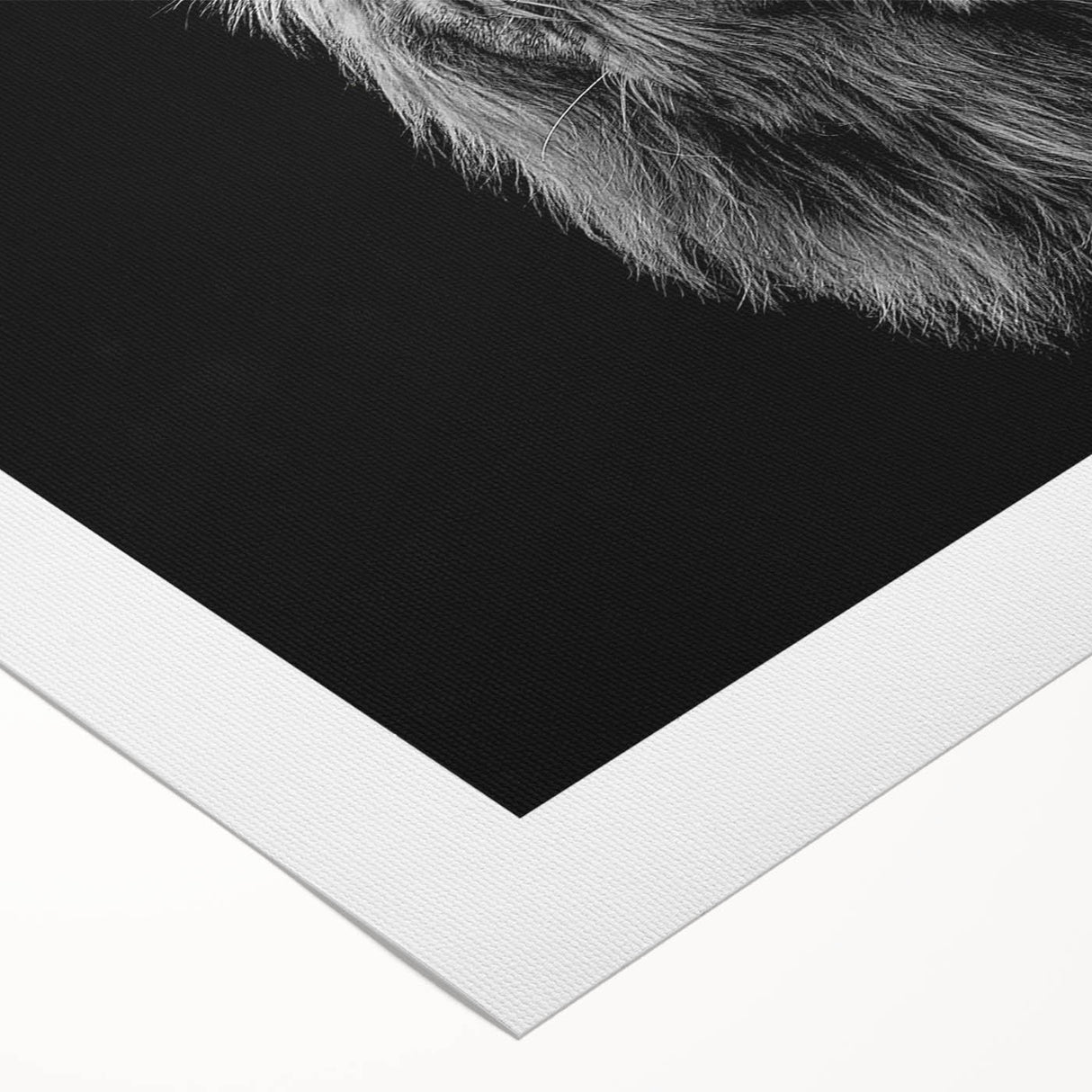 Vibrant rolled canvas print showcasing a majestic lion design, featuring rich colors and intricate details, perfect for enhancing wildlife-themed decor.