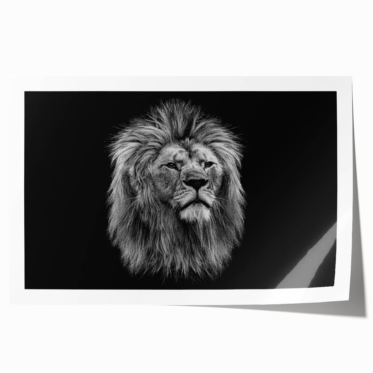Vibrant rolled canvas print showcasing a majestic lion design, featuring intricate details and rich colors, perfect for enhancing any wildlife-themed decor.