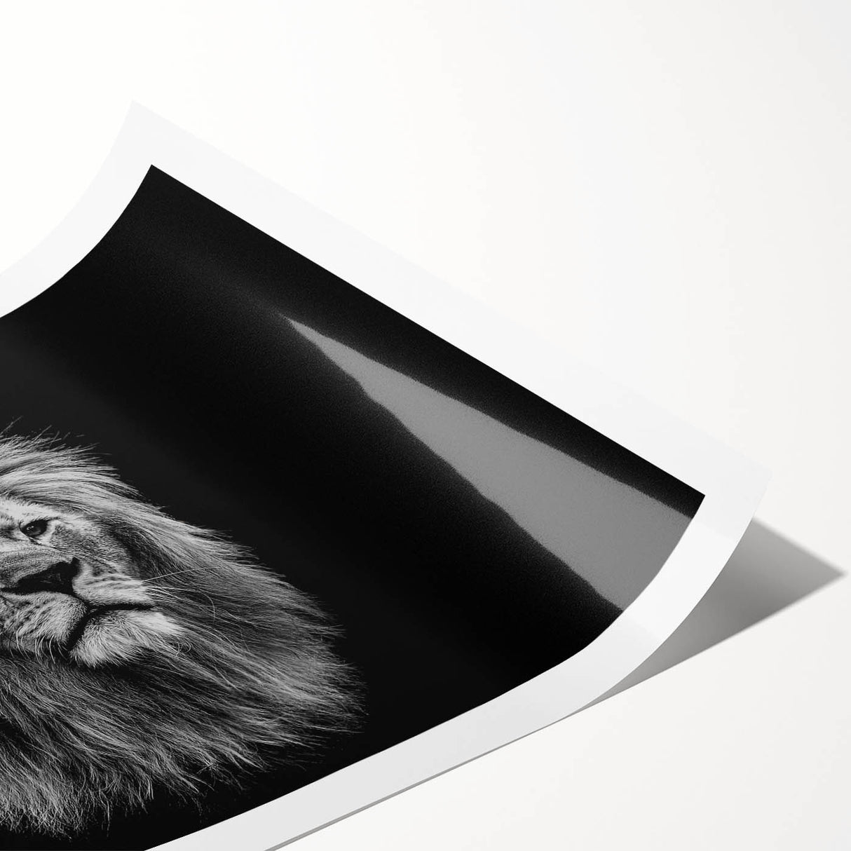 Bold and vibrant lion wall art print showcasing intricate details and rich colors, perfect for adding a touch of wildlife elegance to any room decor.