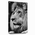 Acrylic wall art featuring a striking side view of a lion, showcasing intricate designs and vibrant colors, perfect for wildlife enthusiasts and home decor.