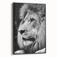 Framed wall art featuring a striking lion design set against a black background, showcasing intricate details and vibrant colors, perfect for enhancing any decor.