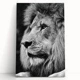 Stretched canvas wall art featuring a majestic lion design, showcasing vibrant colors and intricate details, perfect for wildlife enthusiasts and home decor.