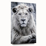 Acrylic glass wall art featuring a vibrant lion design in a side view, showcasing intricate details and bold colors, perfect for wildlife enthusiasts and home decor.