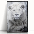 Framed acrylic wall art showcasing a striking lion design, featuring a black frame and vivid colors, perfect for wildlife enthusiasts and home decor.