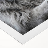 Vibrant rolled canvas wall art showcasing a majestic lion design, perfect for animal lovers and wildlife enthusiasts, featuring rich colors and intricate details.