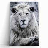 Stretched canvas artwork depicting a majestic lion in a vibrant, colorful abstract style, ideal for animal lovers and home decor enthusiasts. Perfect for adding a wild touch to any interior space.