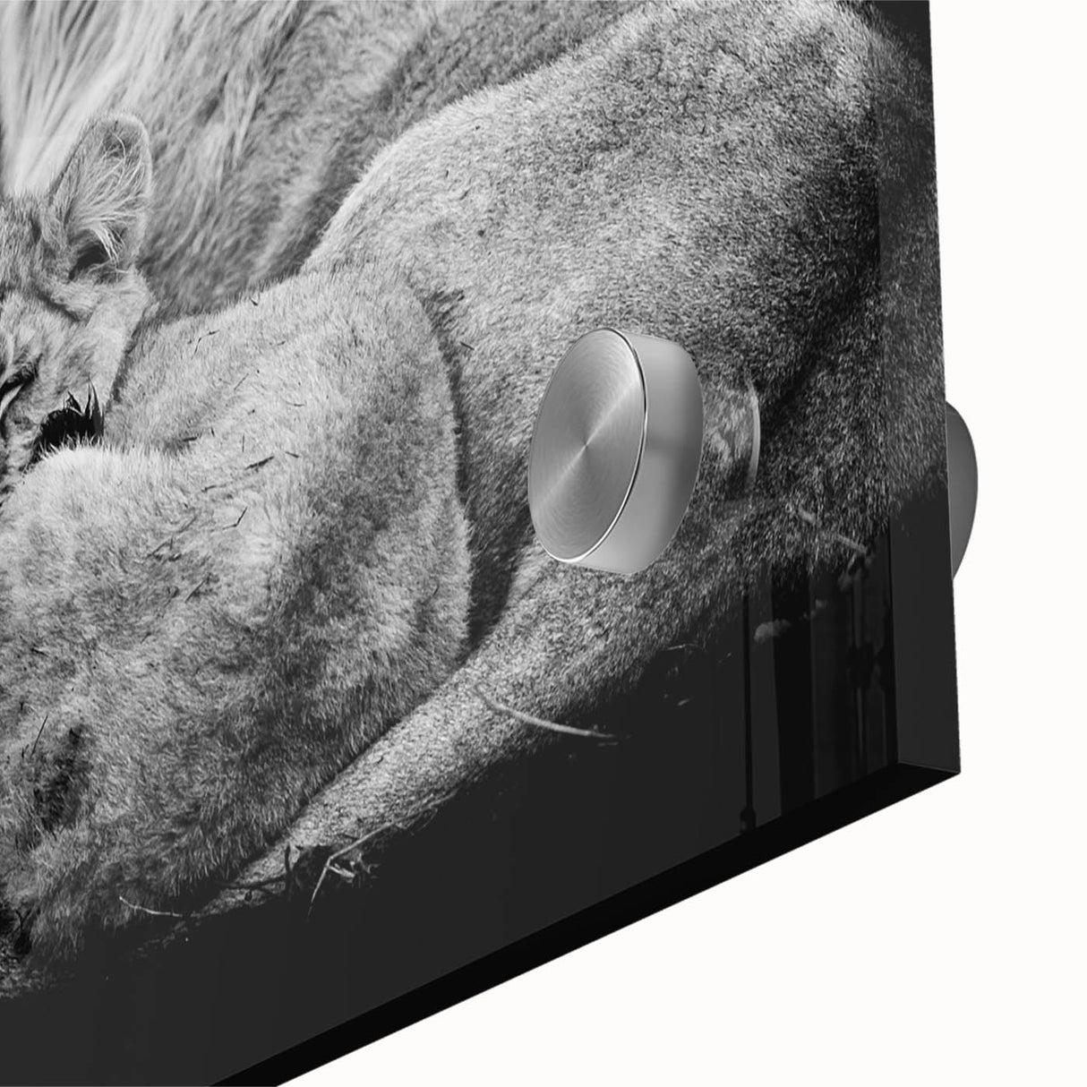 Close-up of a striking lion wall art design featuring vibrant colors and intricate details, printed on acrylic glass, perfect for wildlife lovers' home decor.