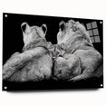 Acrylic wall art showcasing a side view of a majestic lion design, featuring vivid colors and intricate details, perfect for wildlife enthusiasts and home decor.
