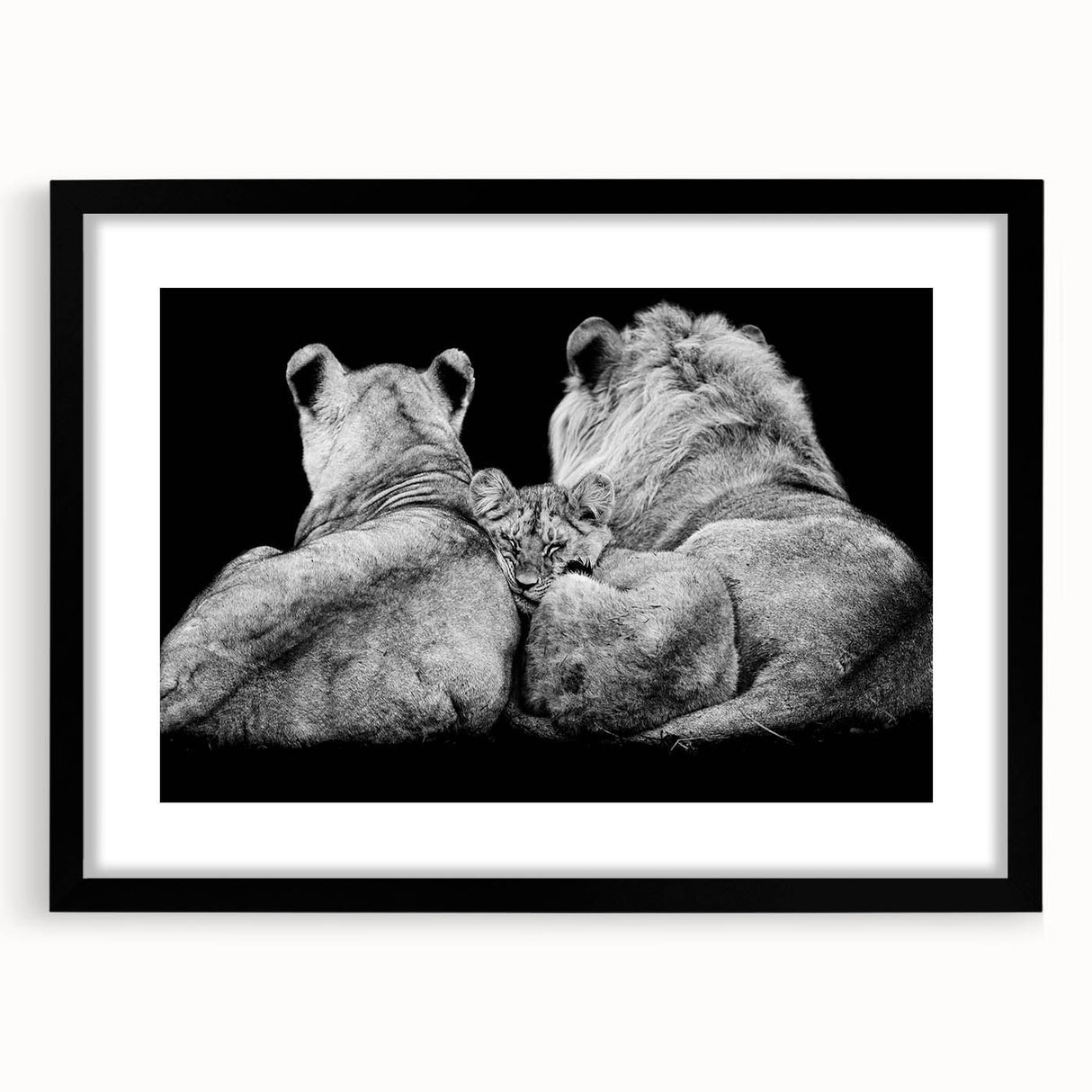 Black-framed wall art depicting a majestic lion, featuring intricate details and vibrant colors, perfect for animal lovers and home decor enthusiasts. Ideal for adding a touch of wildlife elegance to any space, this design captures the essence of the wild.