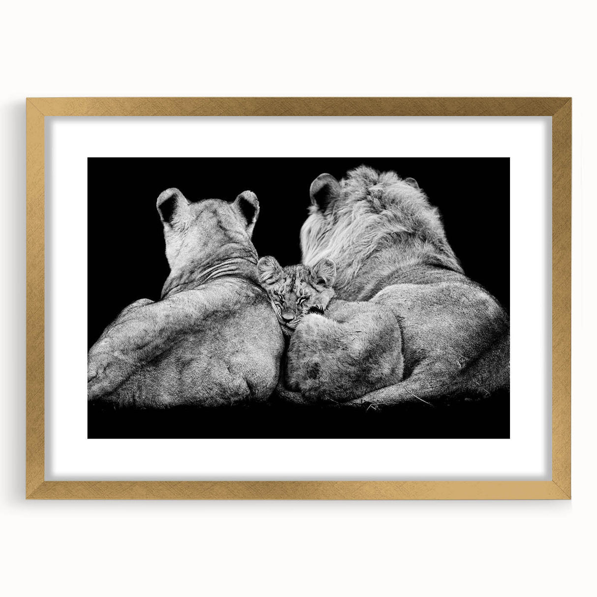 Lion-themed wall art featuring a striking gold-framed design, showcasing a majestic lion's face against a neutral background, perfect for animal lovers and home decor enthusiasts.