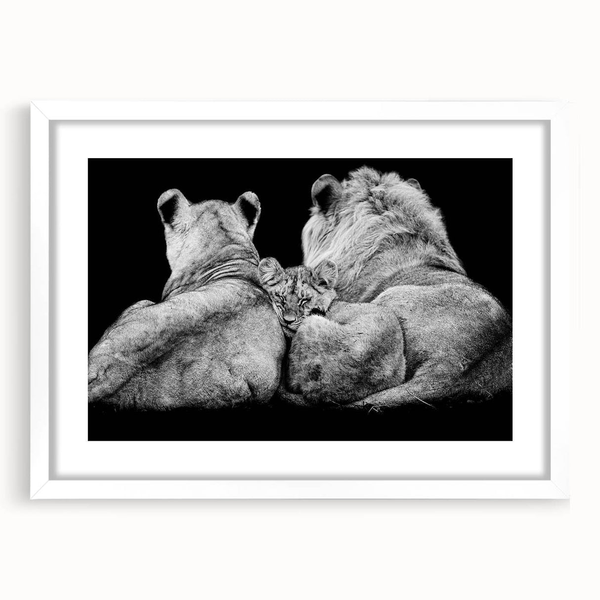 Lion wall art design in a white frame with matting, showcasing a majestic lion's face against a vibrant background, perfect for wildlife enthusiasts and home decor.