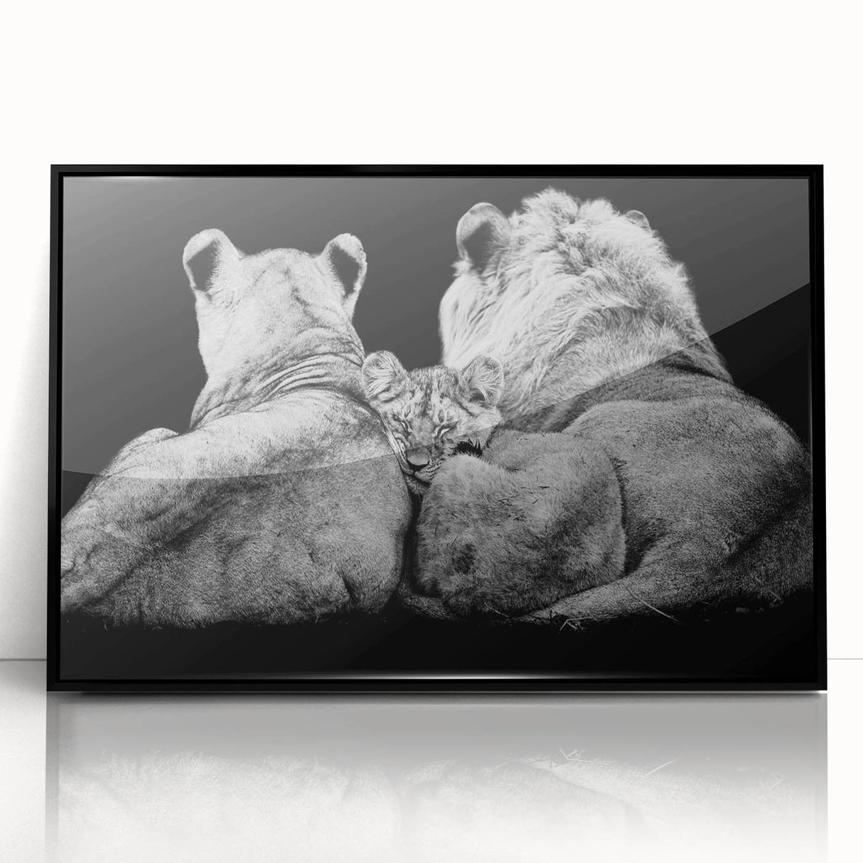 Framed wall art featuring a majestic lion design with vibrant colors and intricate details, set against a sleek black frame, perfect for wildlife enthusiasts.