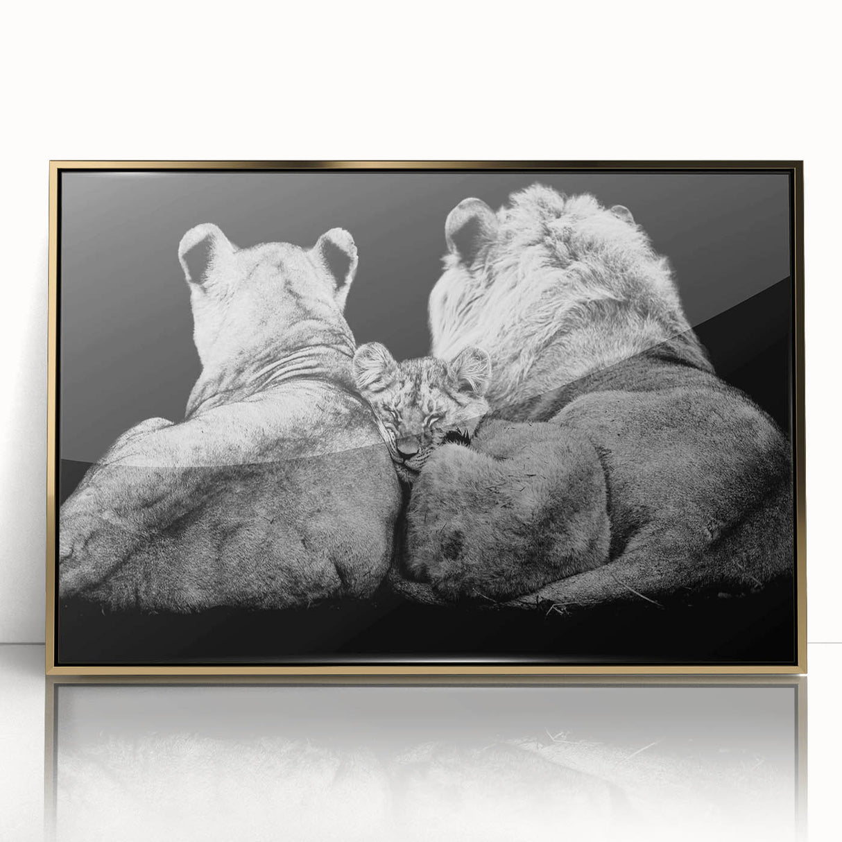 Framed wall art featuring a majestic lion design in gold accents, set against a sleek black background, perfect for enhancing modern decor and wildlife-themed interiors.
