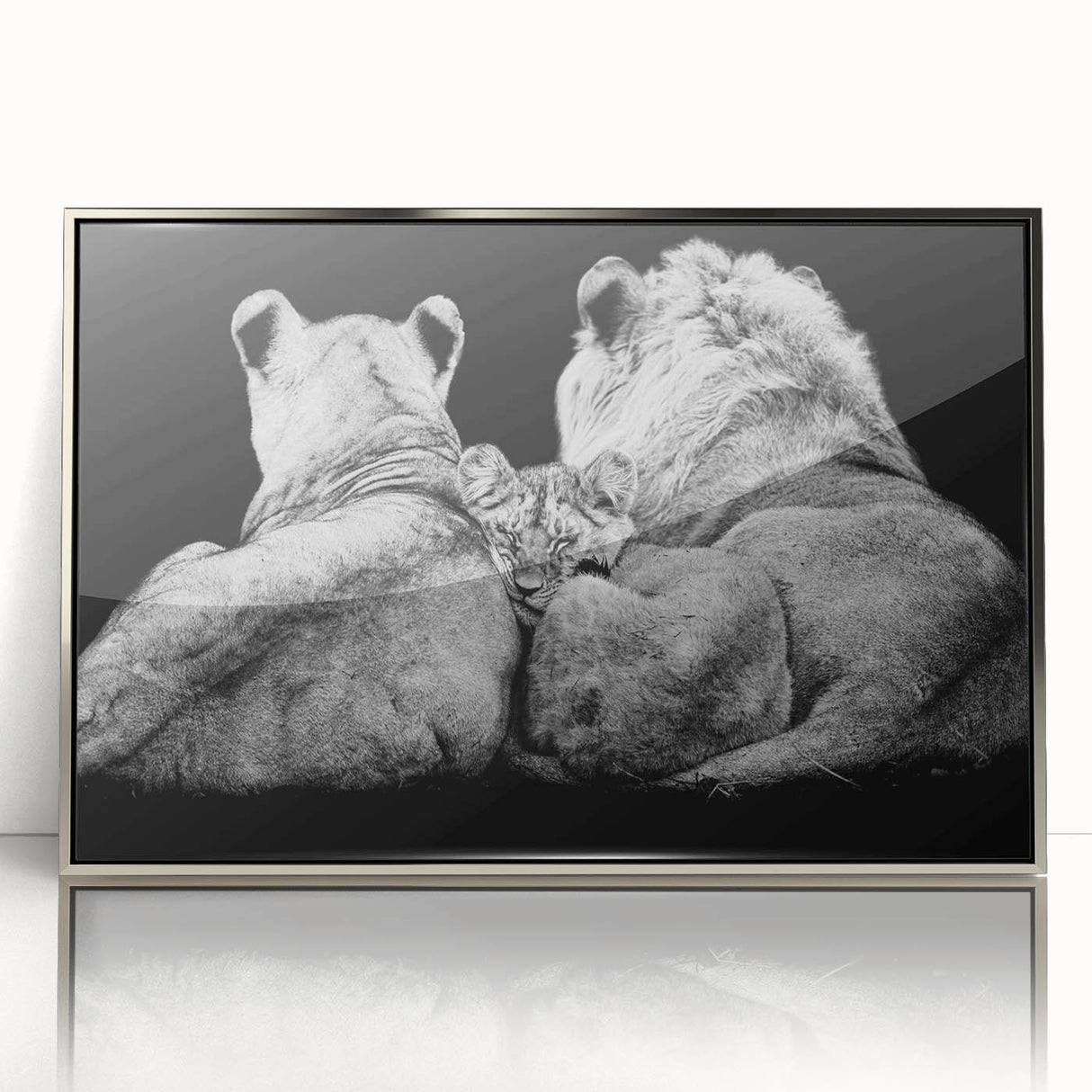 Framed acrylic wall art showcasing a majestic lion design with intricate details and a sleek silver frame, perfect for wildlife enthusiasts and home decor.