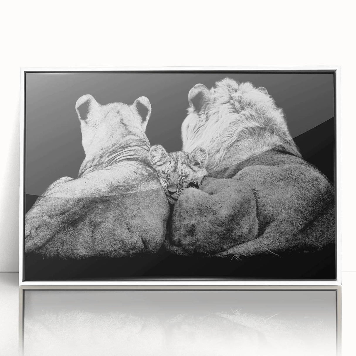 Framed acrylic wall art featuring a majestic lion design, showcasing vibrant colors against a white background, ideal for wildlife enthusiasts and modern decor.