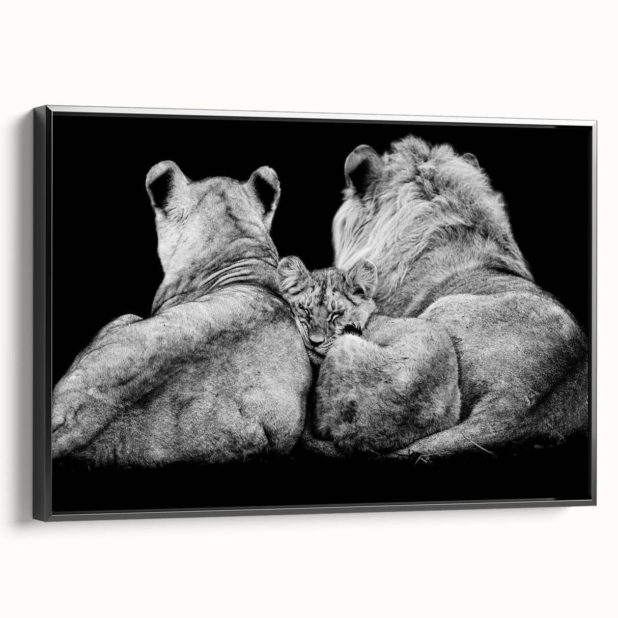 Framed canvas wall art showcasing a majestic lion design in a striking black frame, adding a bold touch to any decor. Perfect for animal lovers and wildlife enthusiasts.