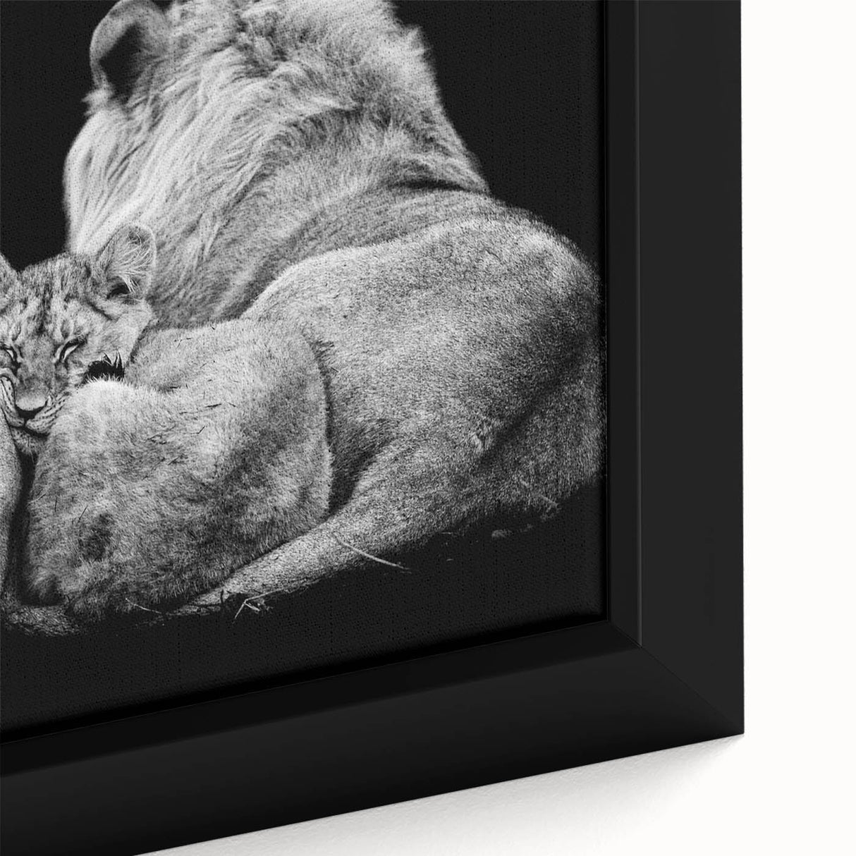 Close-up of a framed canvas wall art featuring a majestic lion design, showcasing intricate details and vibrant colors, perfect for wildlife enthusiasts.