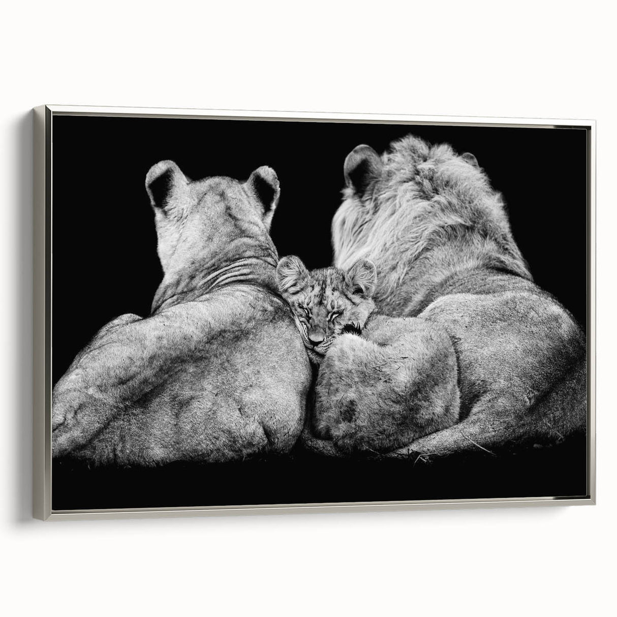 Framed canvas wall art showcasing a majestic lion design in silver, highlighting intricate details and textures, perfect for enhancing interior decor.