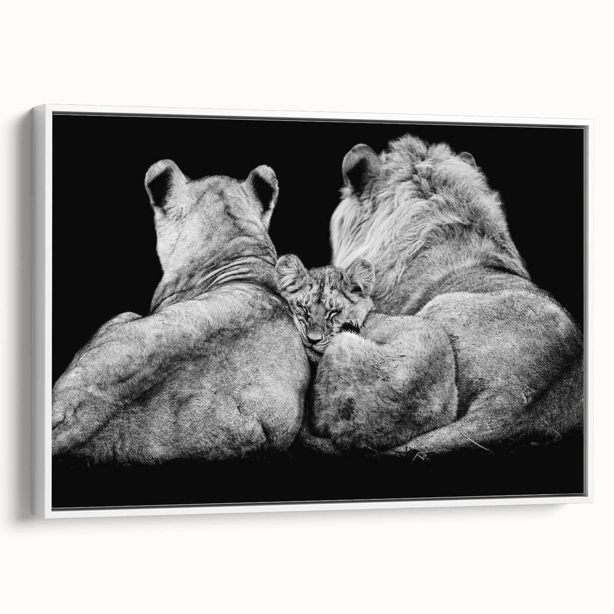 Framed canvas wall art showcasing a majestic lion design with intricate details, set against a white background, perfect for wildlife enthusiasts and home decor.