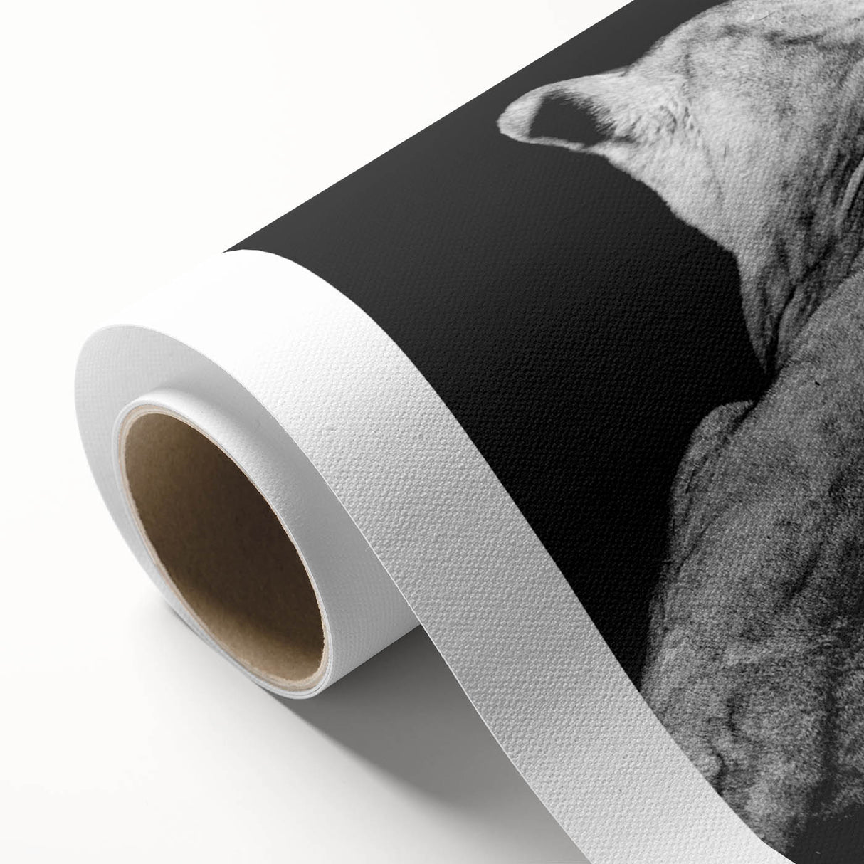 Vibrant rolled canvas artwork showcasing a majestic lion design, ideal for wildlife-themed decor, highlighting rich colors and detailed textures. Perfect for animal lovers.